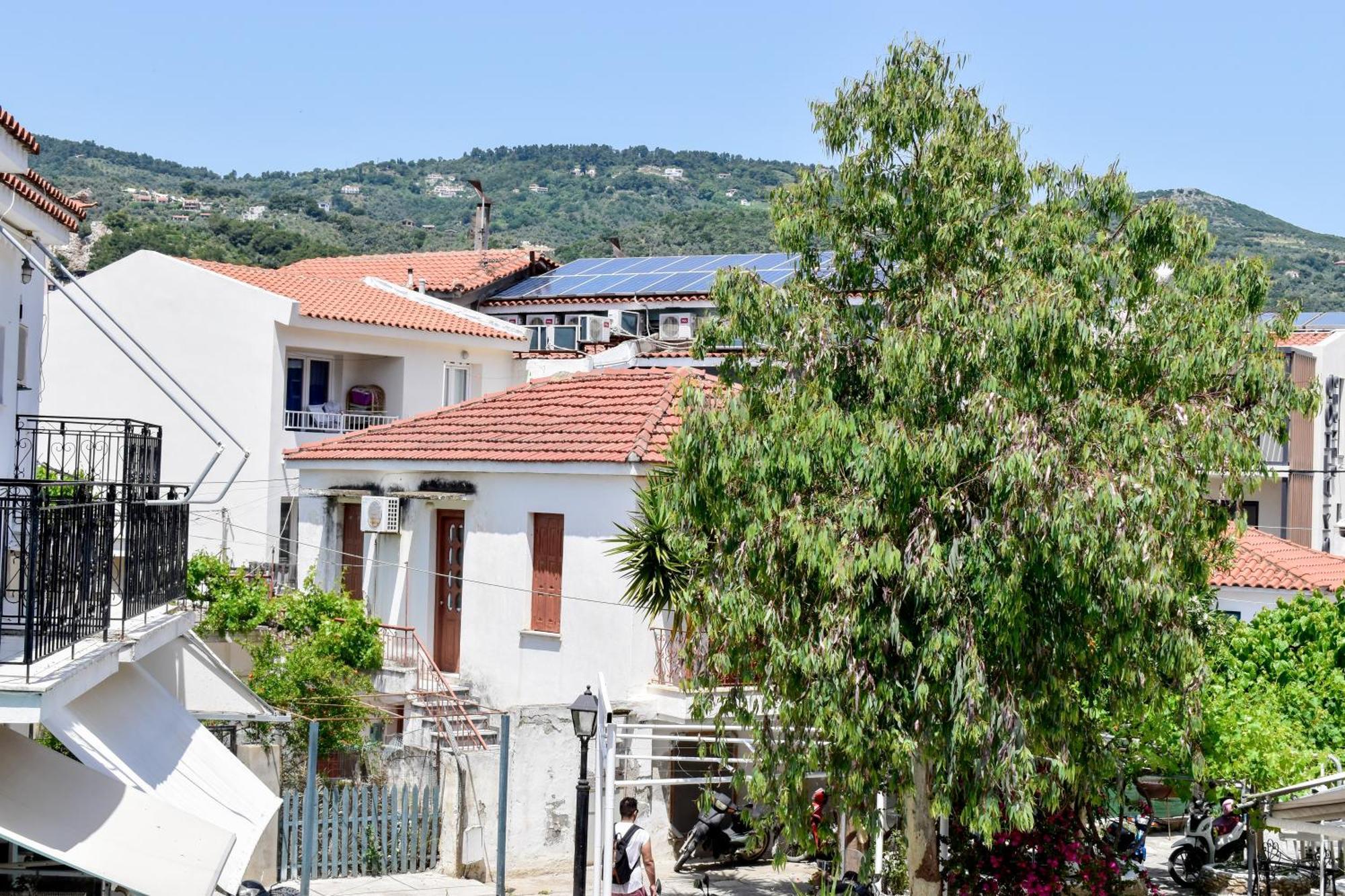 Hotel Entelia Skiathos-Stadt Zimmer foto