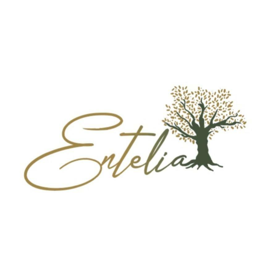 Hotel Entelia Skiathos-Stadt Exterior foto